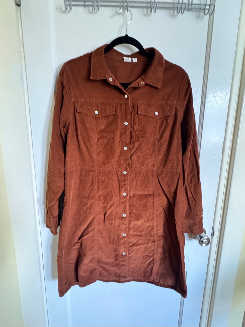 Women's Corduroy Gap Button-Front Dress in Rust